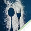 Die Grundlagen der gesunden Ernährung