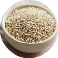 Quinoa