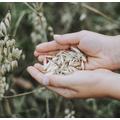 - GLUTENFREIES HAFERFLOCKENMEHL UND HAFERFLOCKEN -